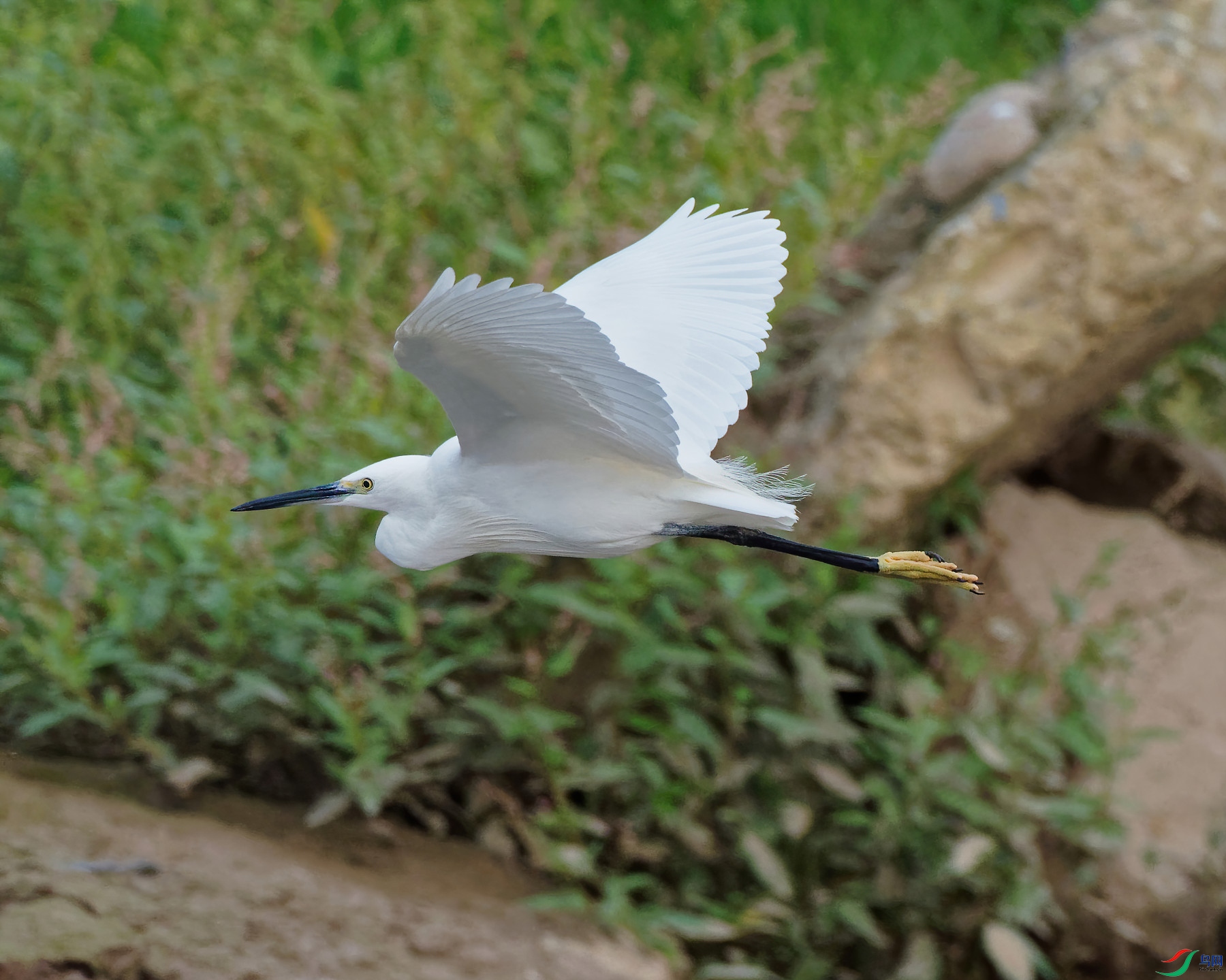 PA180188_DxO-d2.jpg