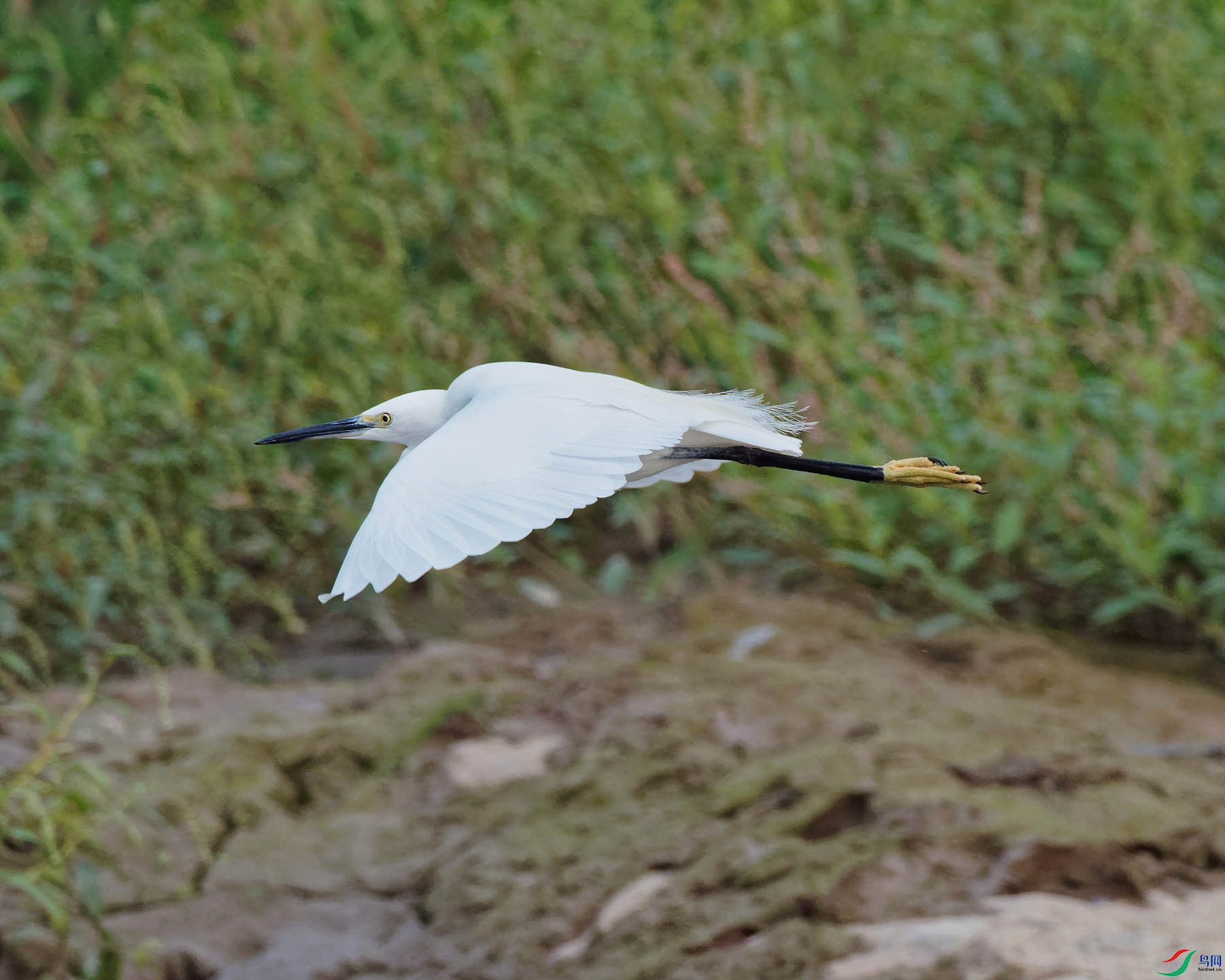 PA180189_DxO-d2.jpg