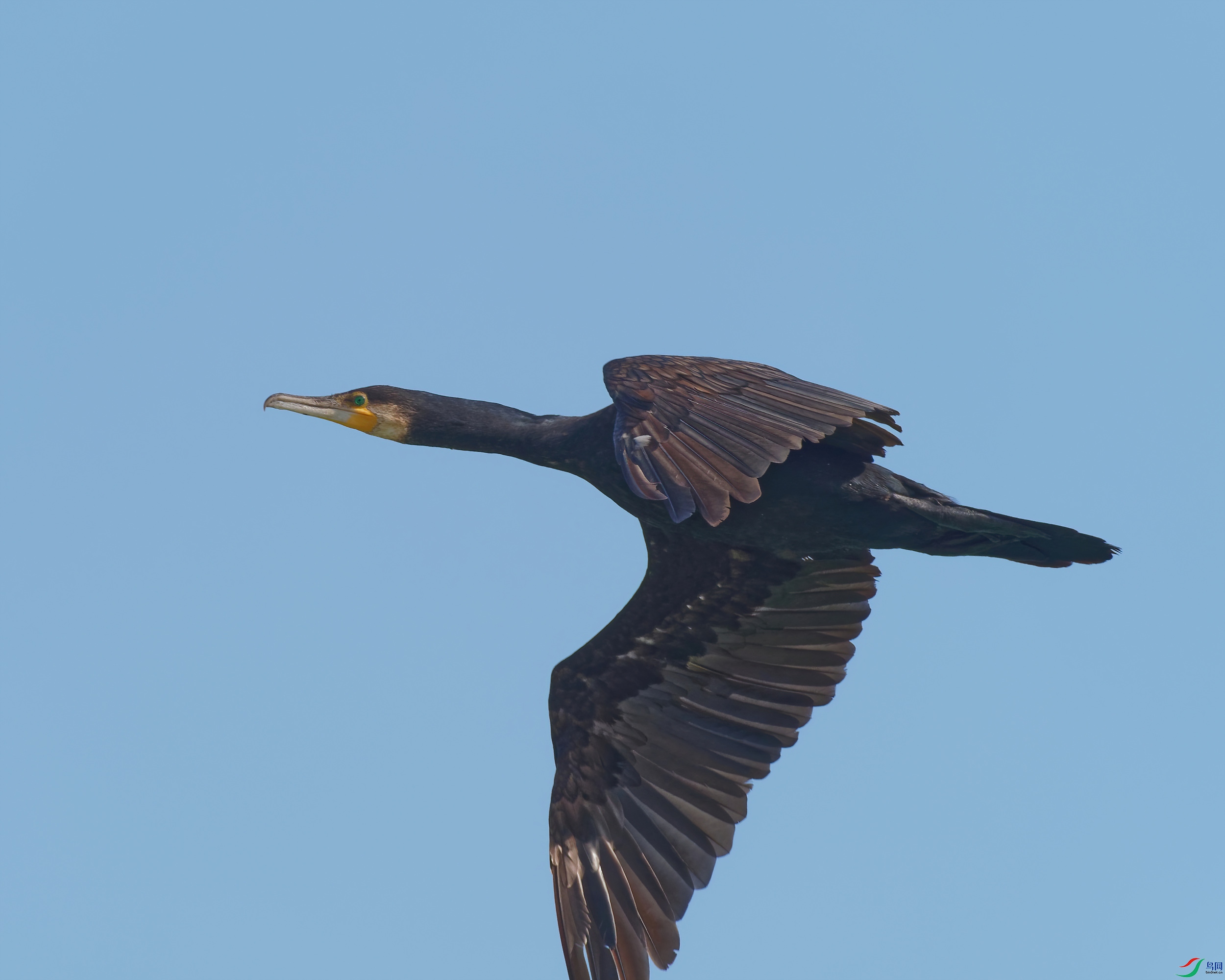 PB180200_DxO-d2.jpg