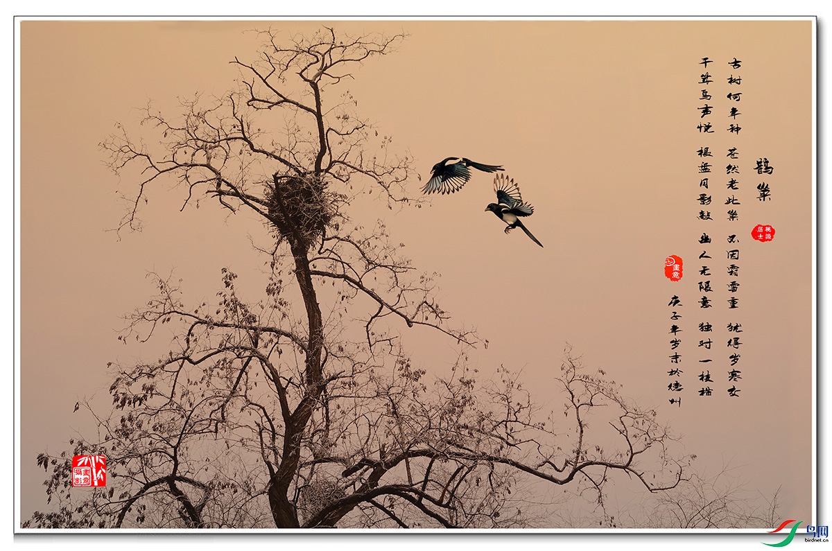 ��ȵ���� ������.jpg