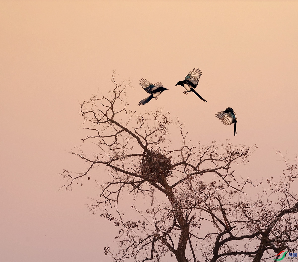 DSC05086 ����ϲȵ.jpg