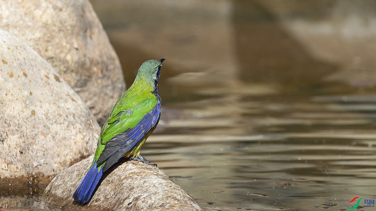_DSC1386X.jpg