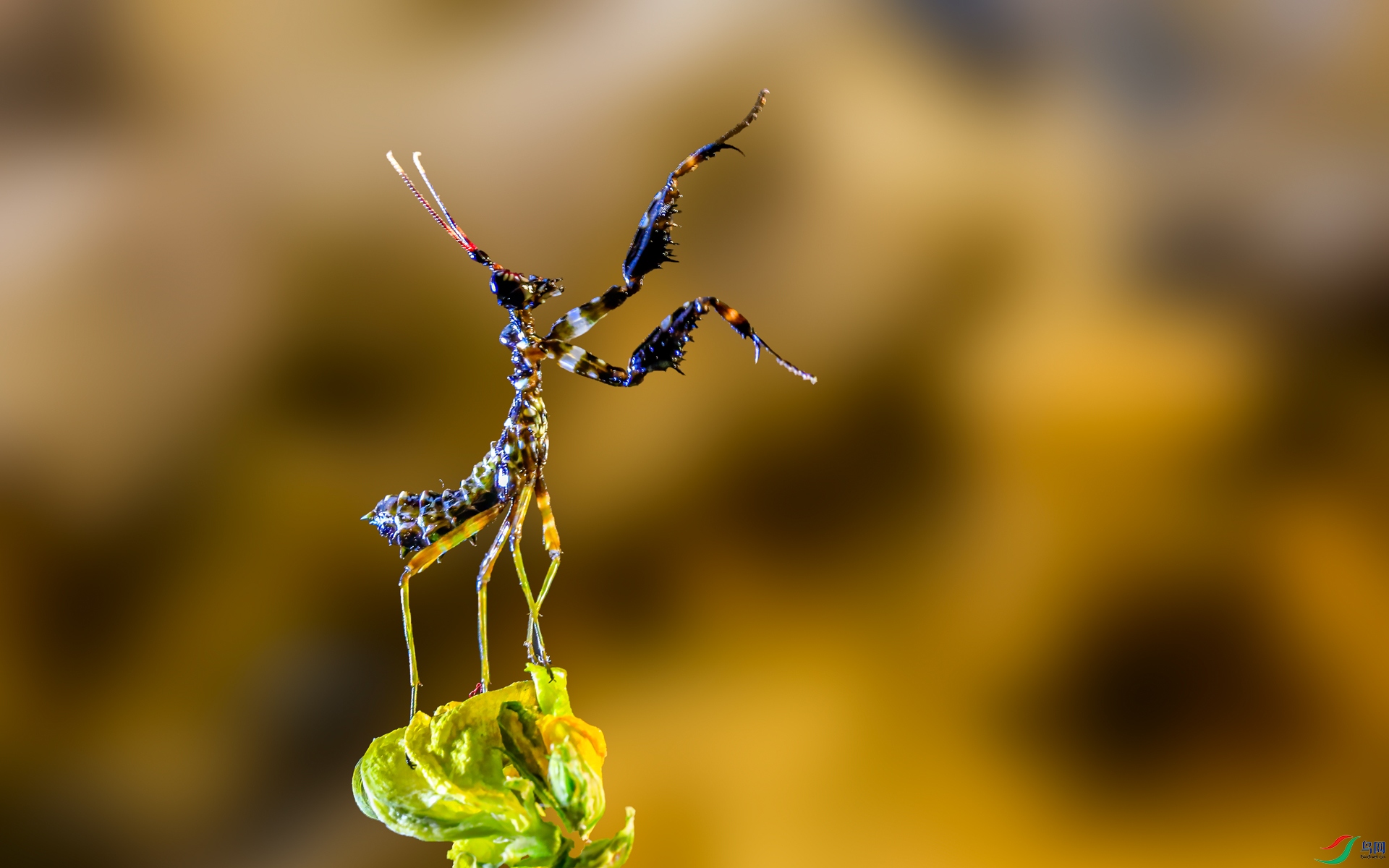 _50A0245.jpg