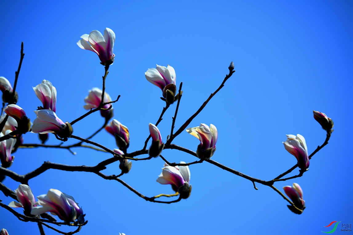 1-��֮������