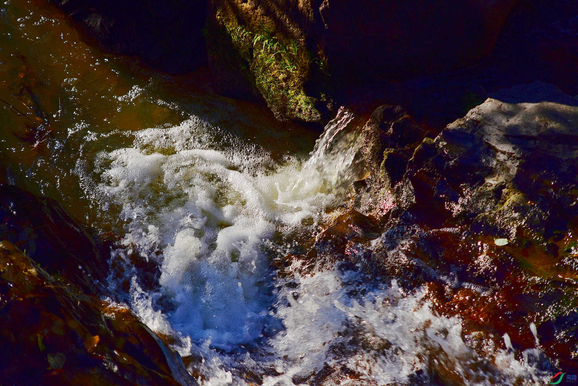 D8I_5259.jpg