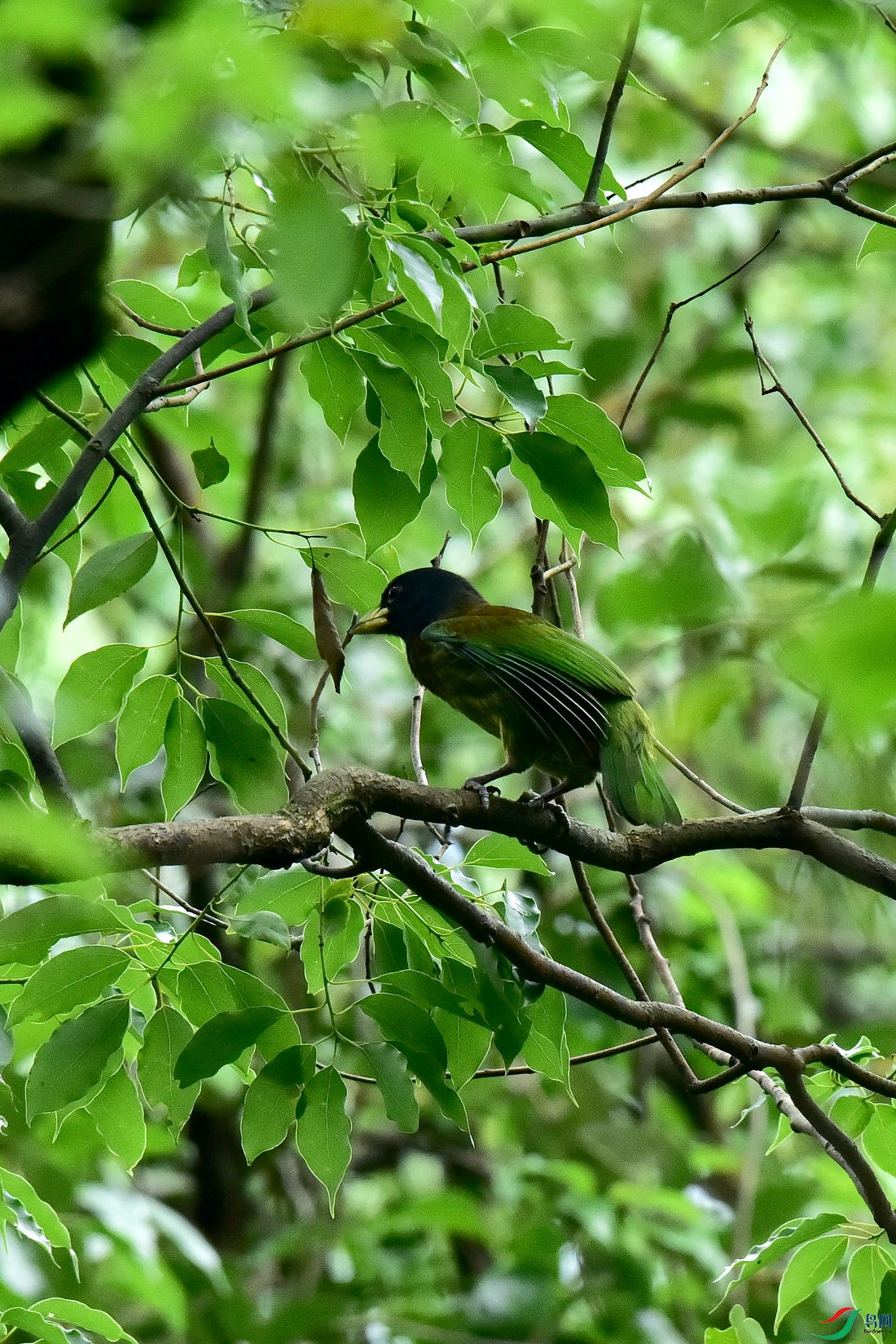 DSC_0661.JPG