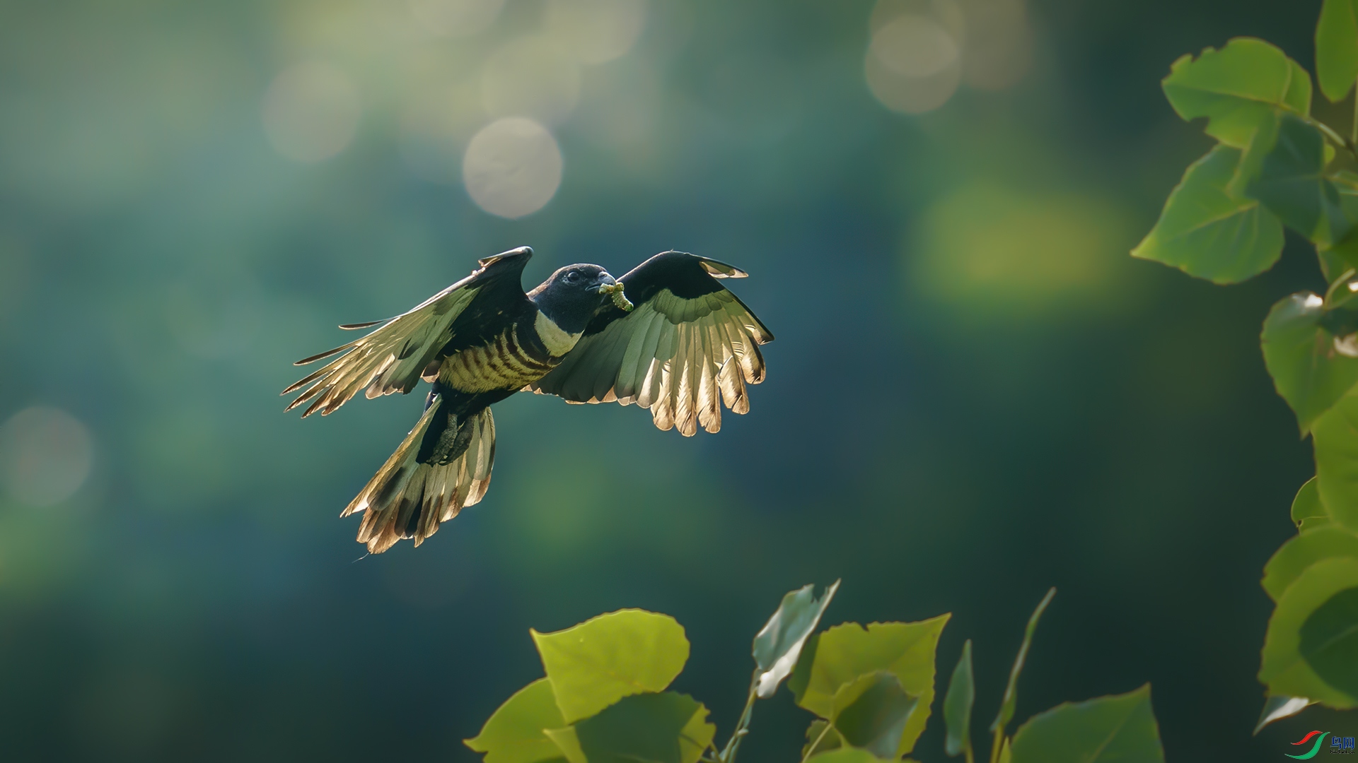 ���ض���