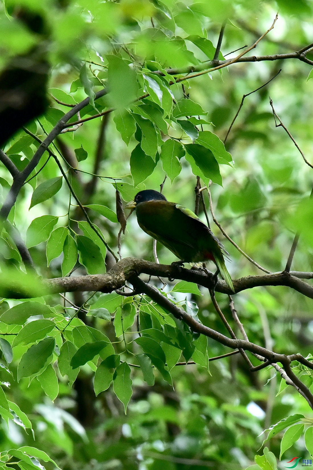 DSC_0667.JPG