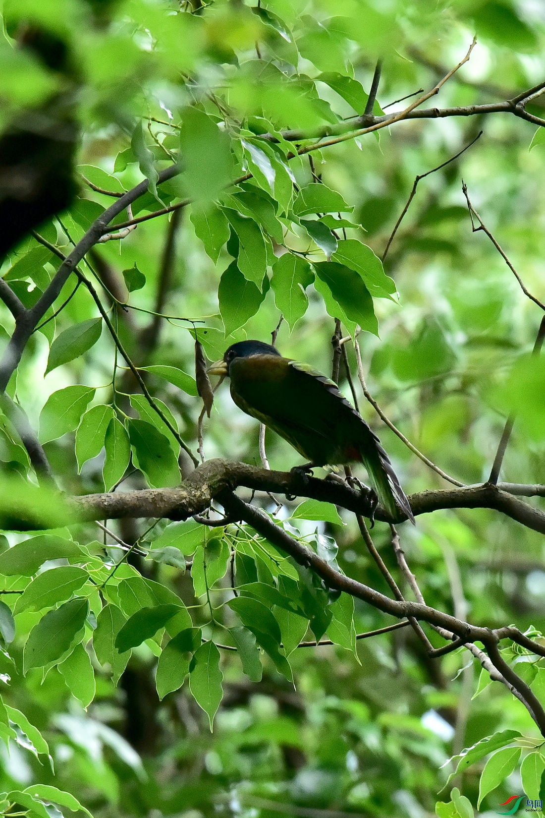 DSC_0668.JPG