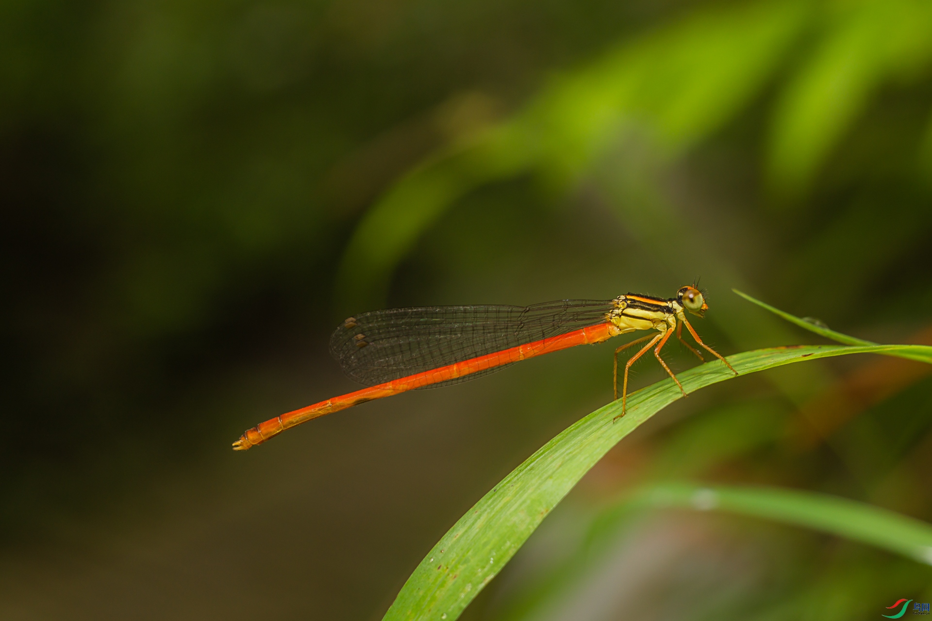 δ����-05439.jpg