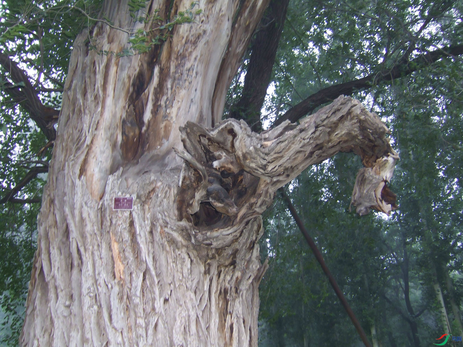 DSCF1582.jpg