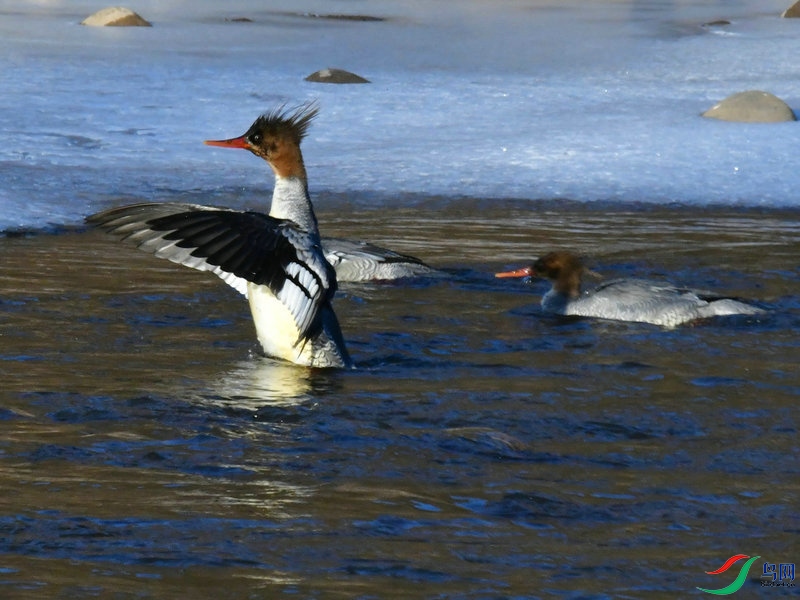 DSC_0890.JPG
