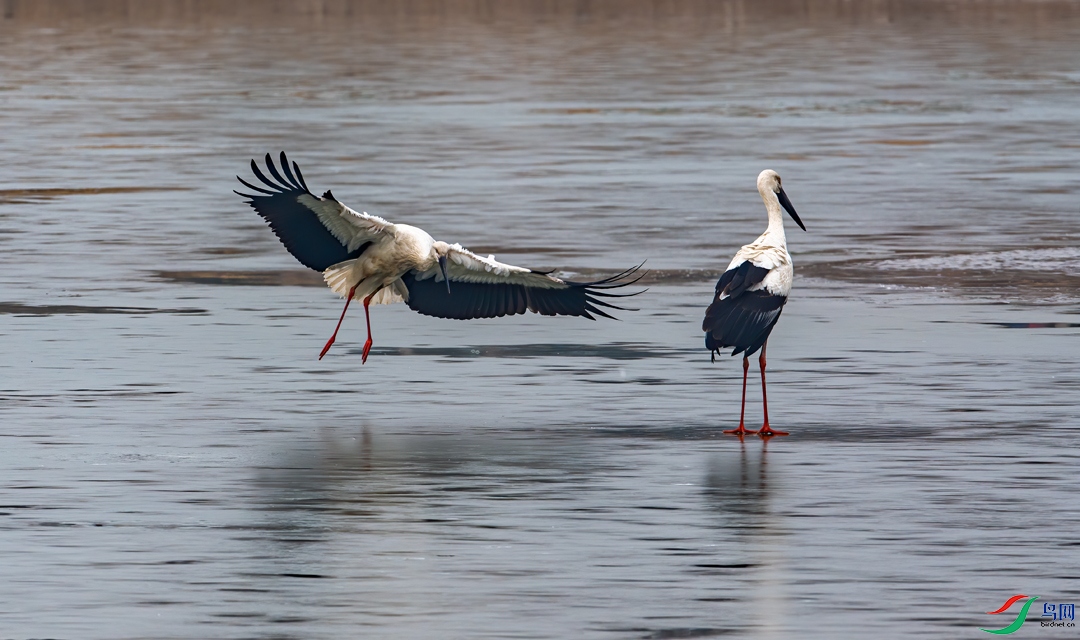 DSC_7677_1.jpg
