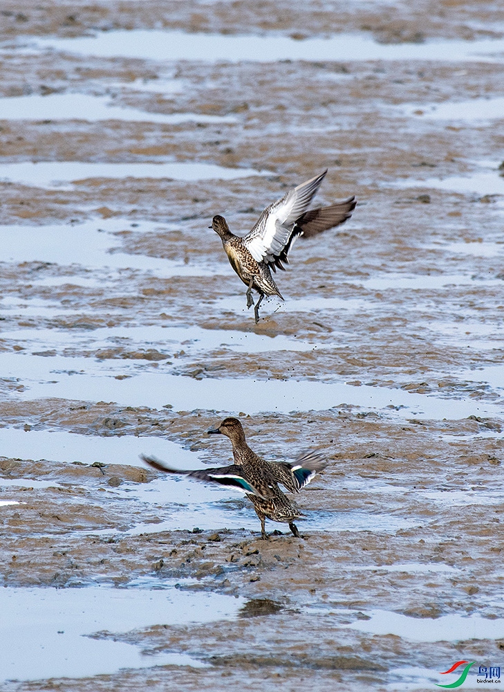 DSC_0356.jpg