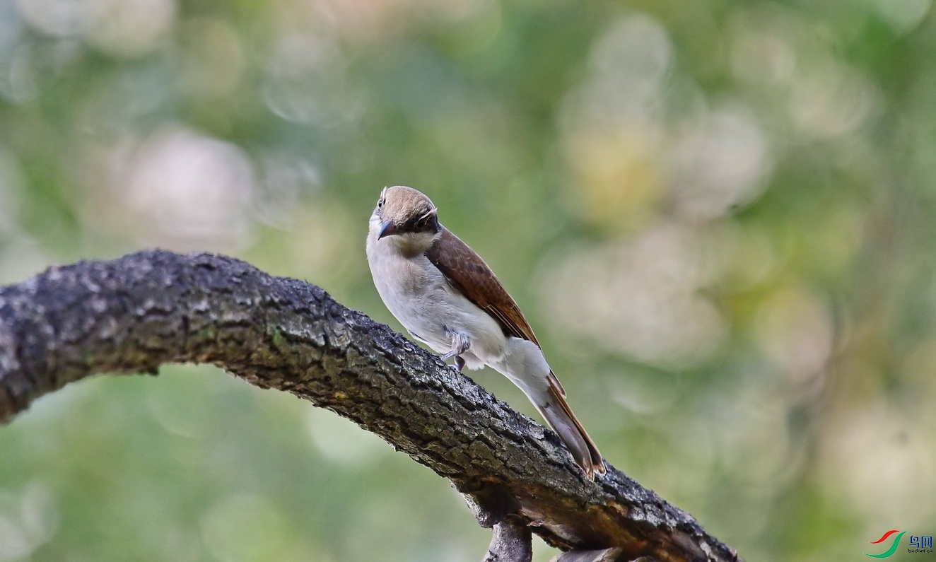 DSC_4021a.JPG