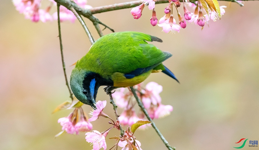 DSC_7261.jpg