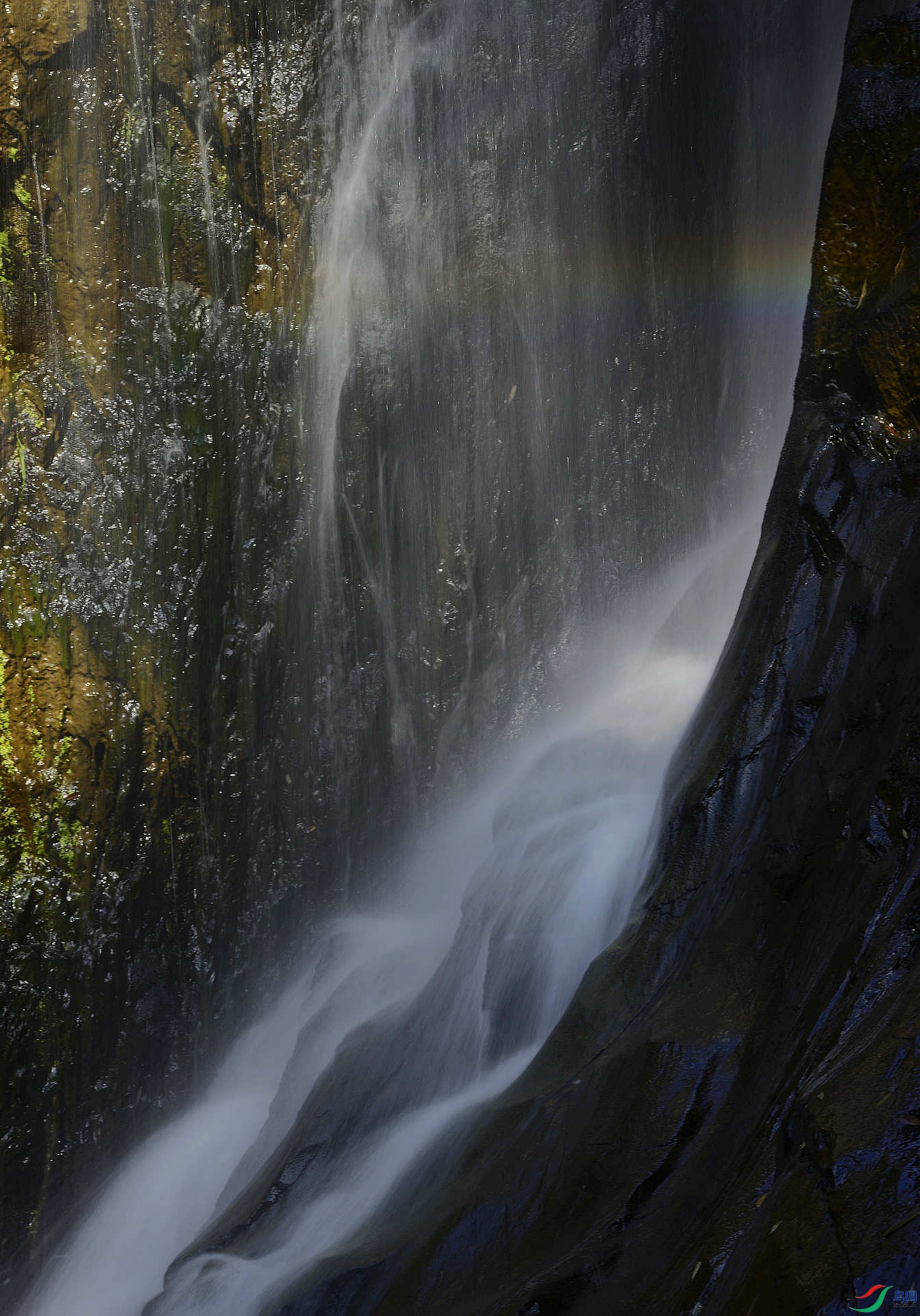 _D804343.jpg
