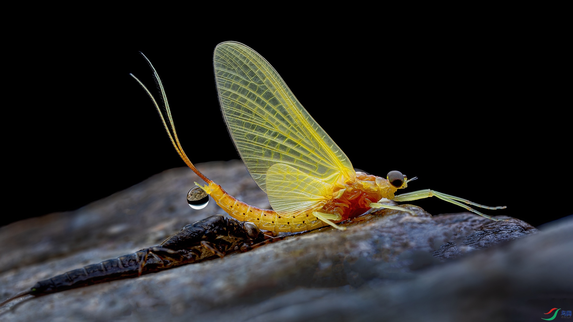 _G3A3627-1.jpg