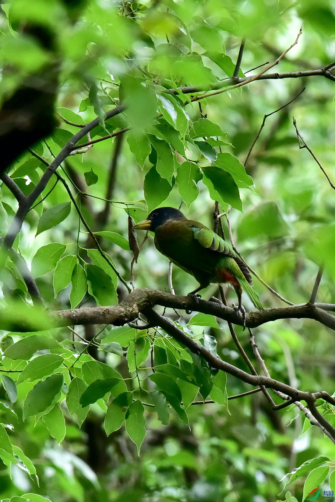 DSC_0675.JPG