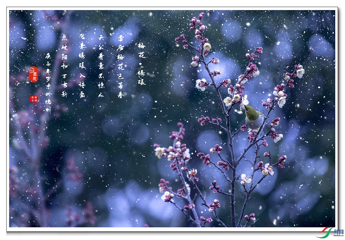 A84X0891 ѩ�� ����(С).jpg