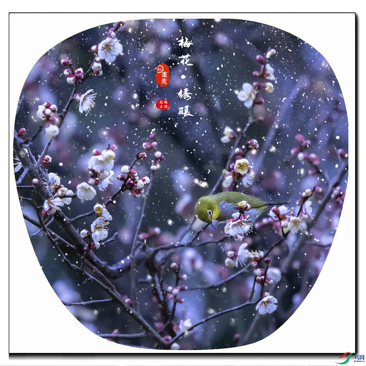 A84X0897 ѩ��.jpg