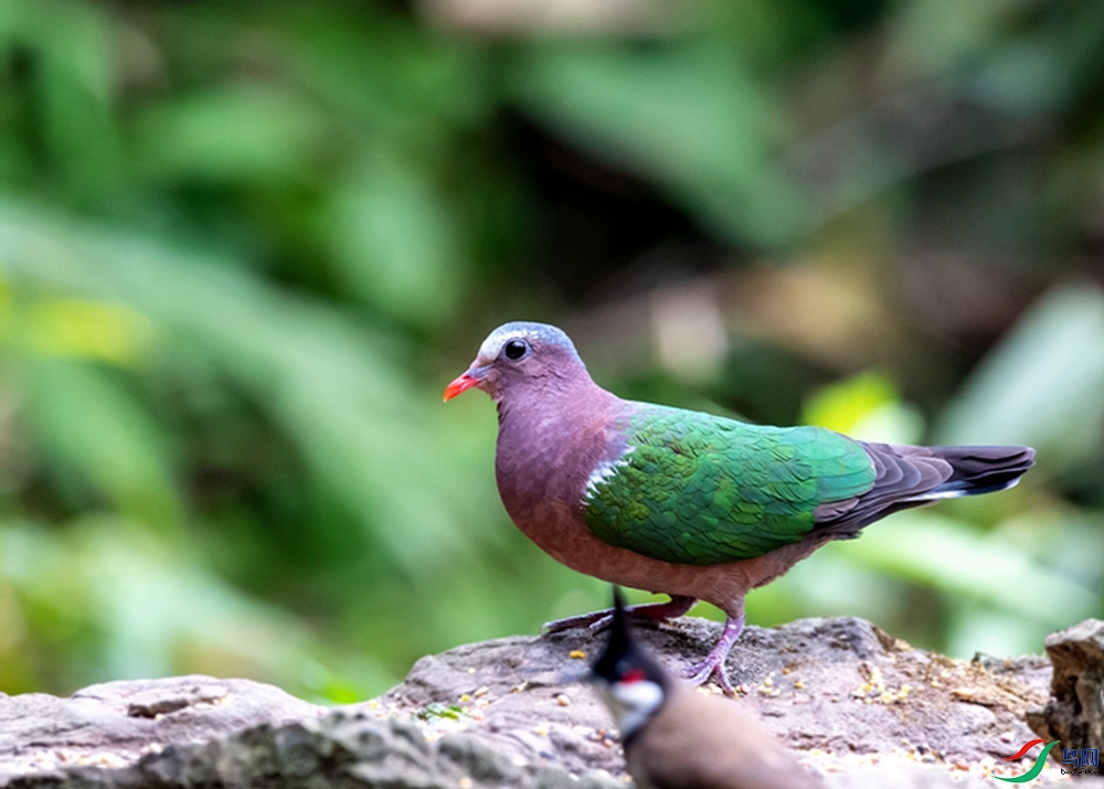 DSC_3067.jpg