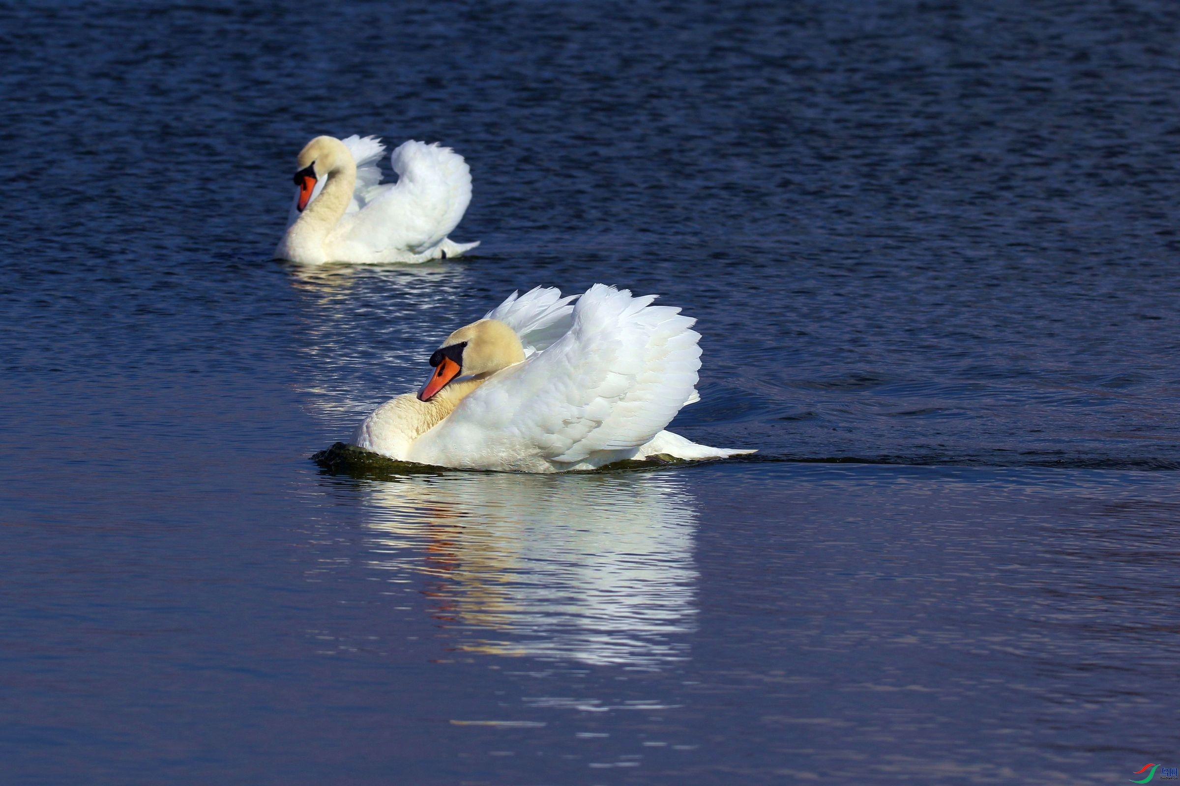 �ȱ���� 03.jpg