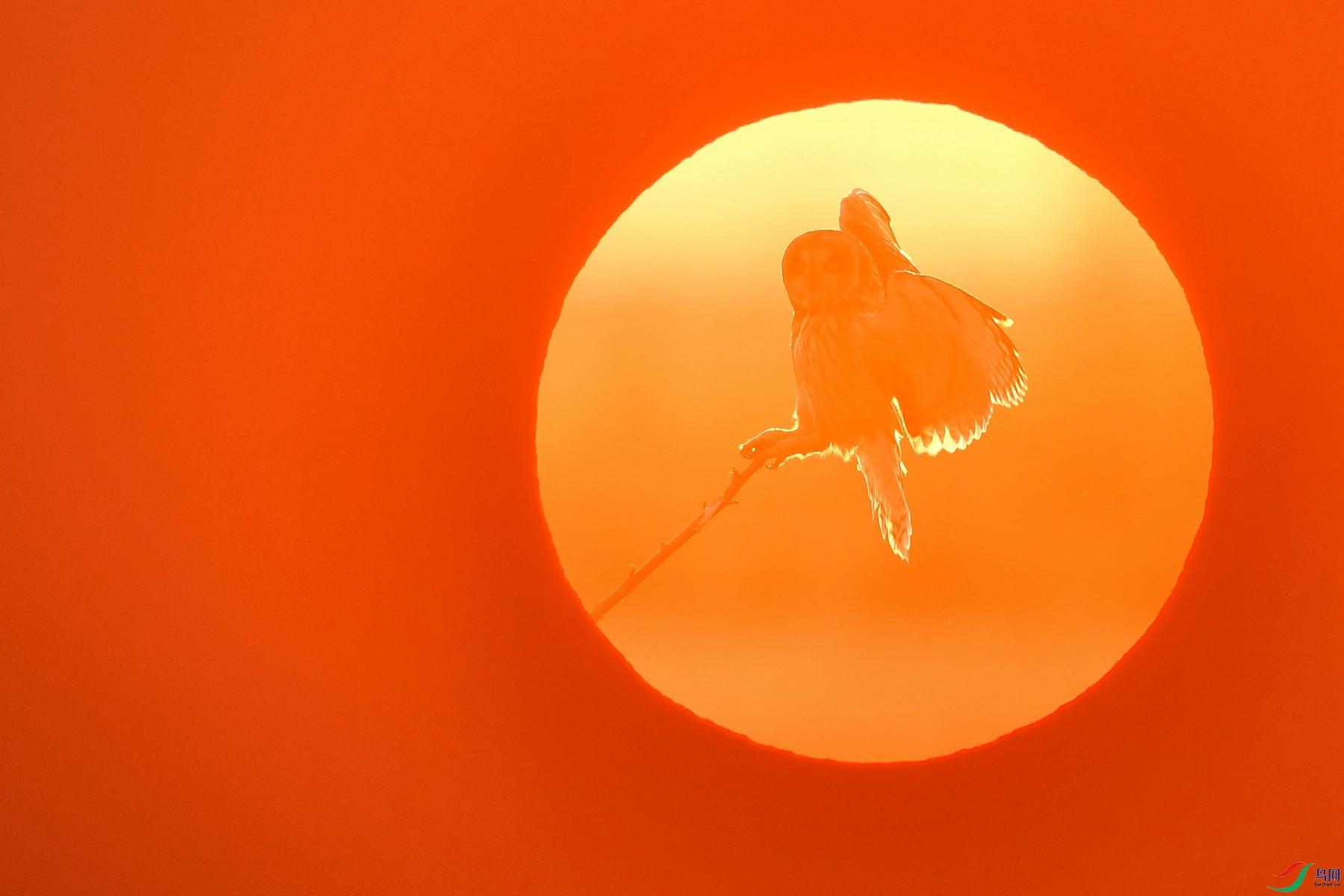 IYK_4123_���� ���� 2_����.jpg