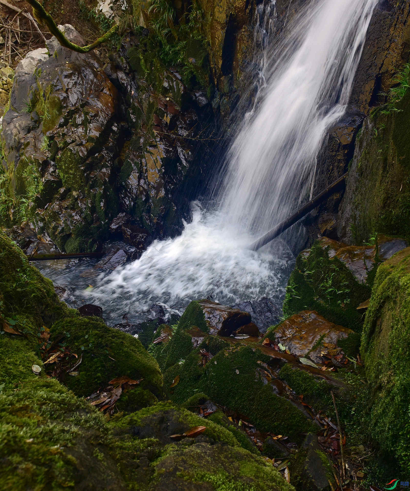 D8I_0441.jpg