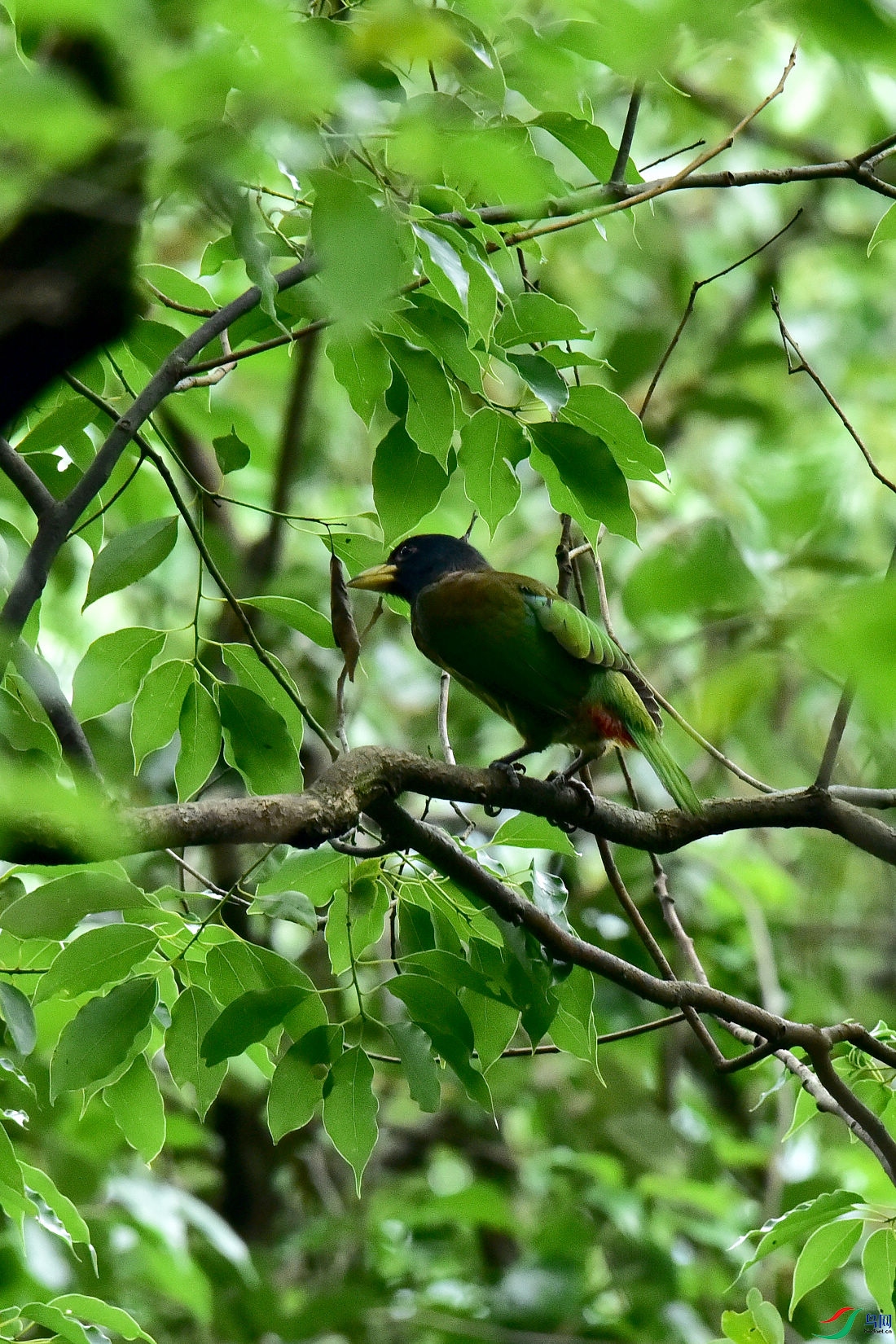 DSC_0677.JPG
