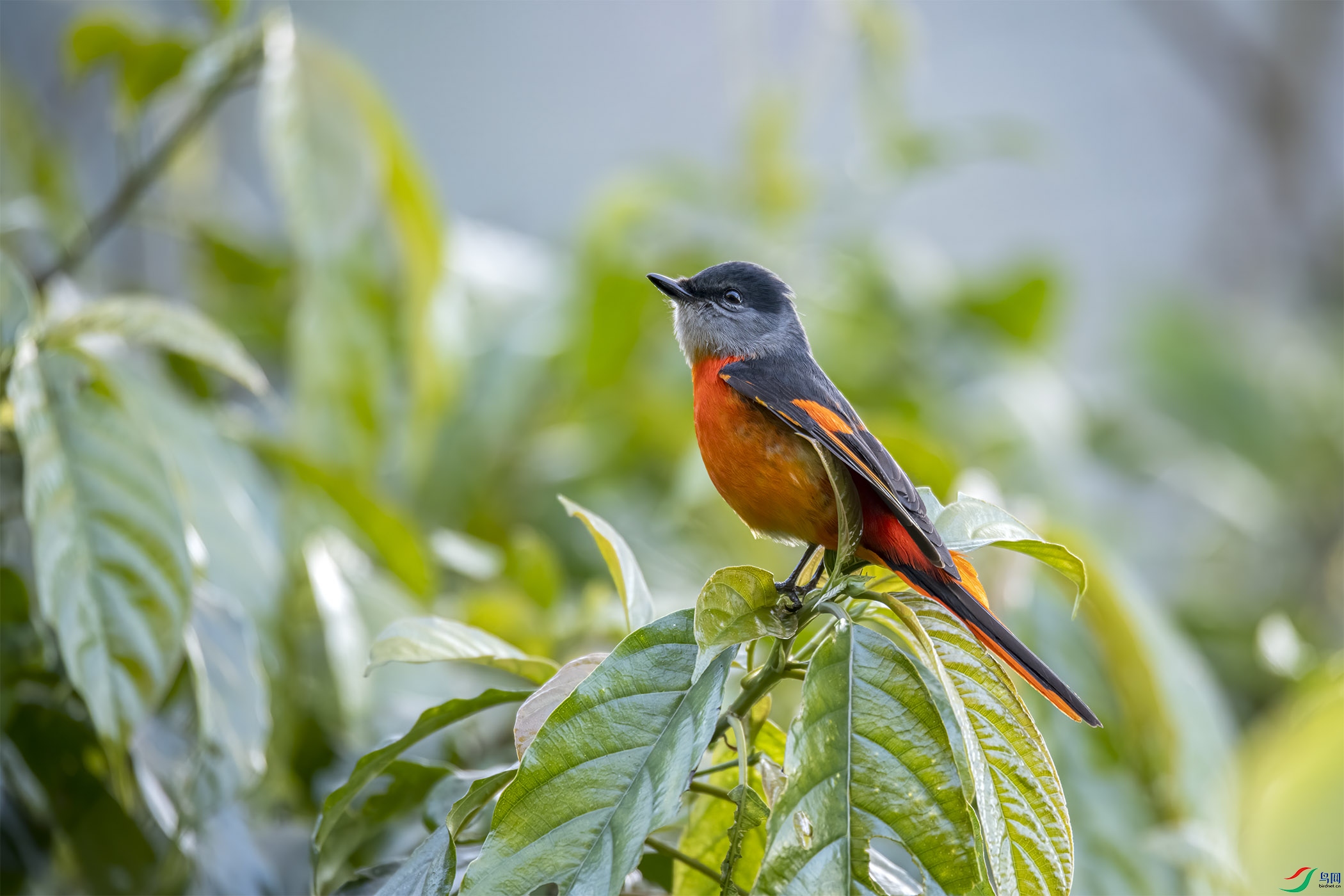 DSC_5122-1.jpg