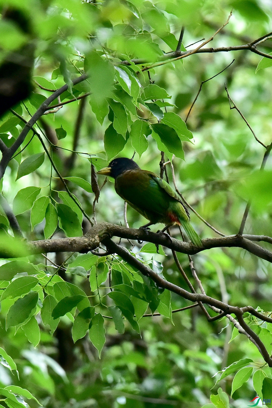DSC_0679.JPG