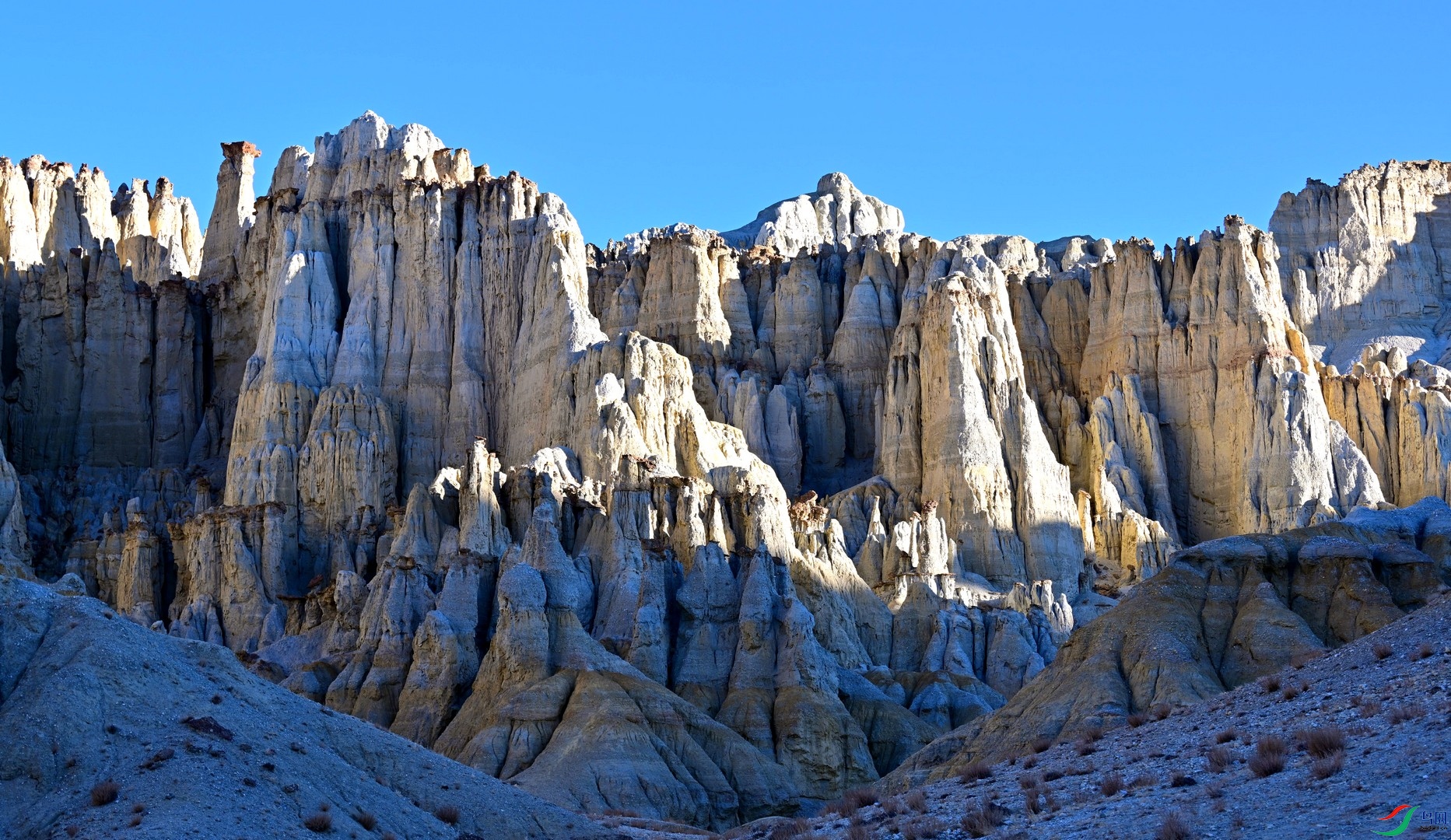 DSC_1798.jpg