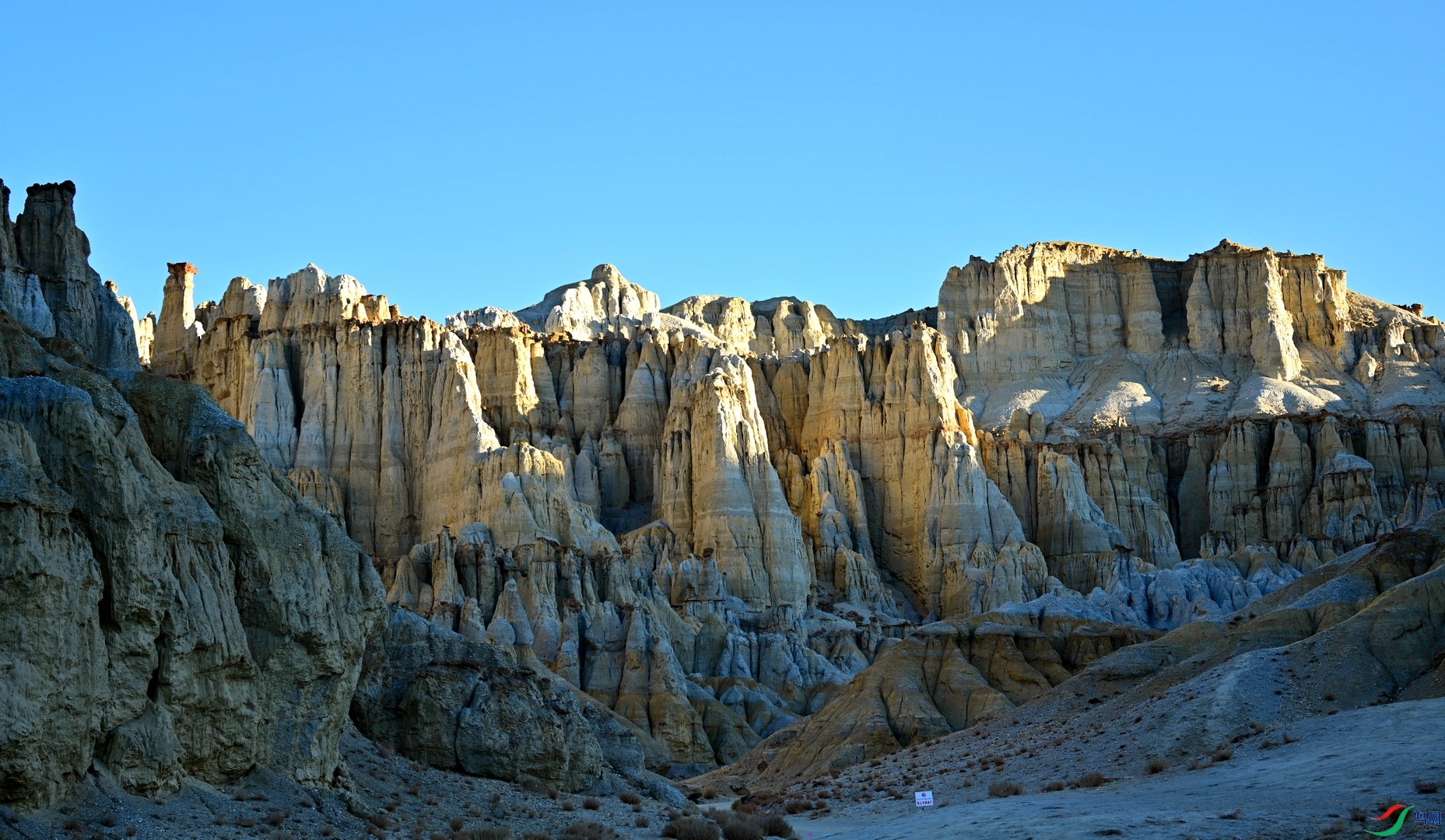 DSC_1753.jpg