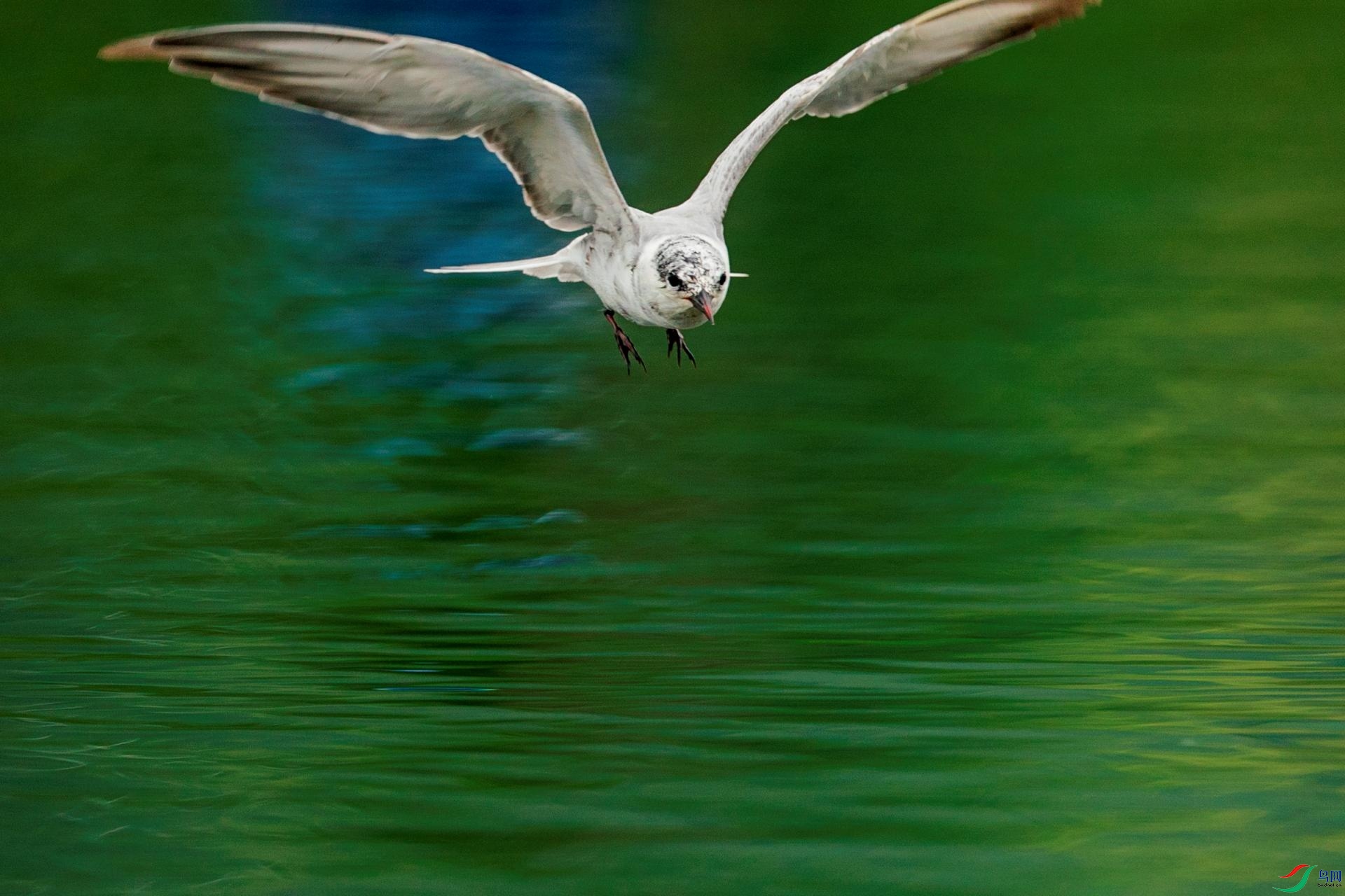 20201001DSC02678 (1).JPG