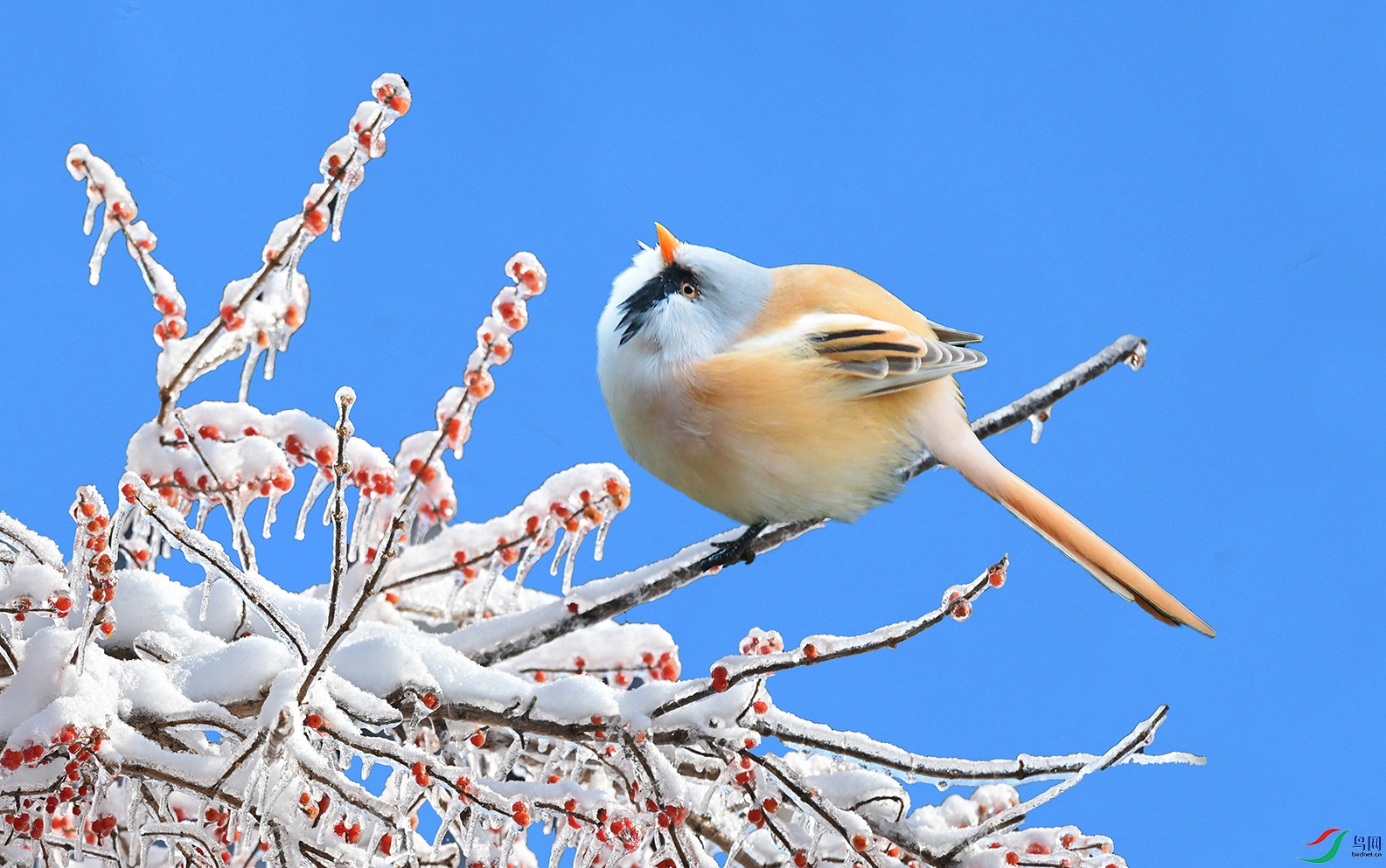 6.Ŀ��һ�У�����ȸ��8214AM.jpg