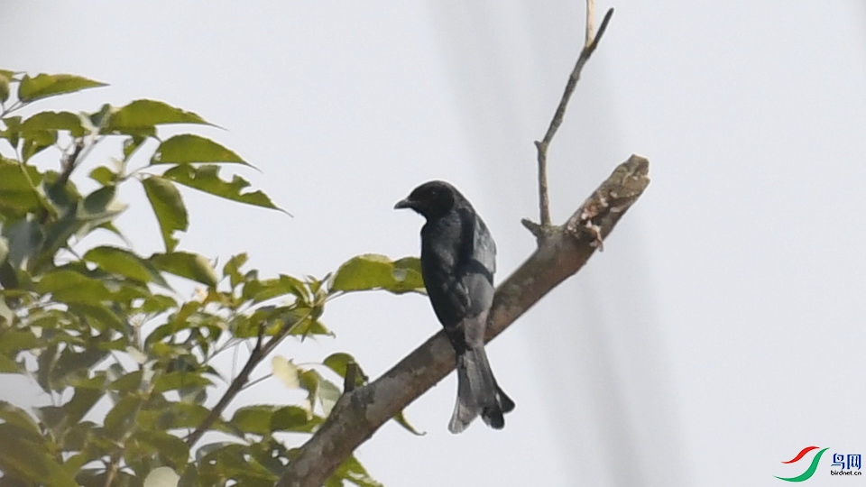 DSC_1672.JPG