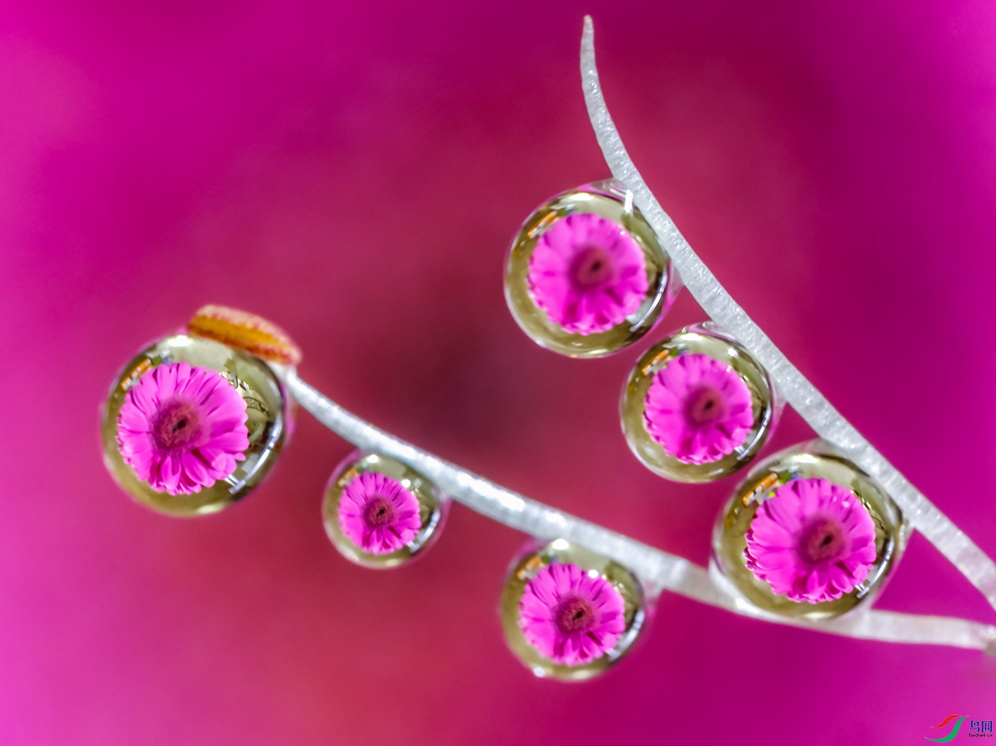ˮ��ӳ��50-1080.jpg