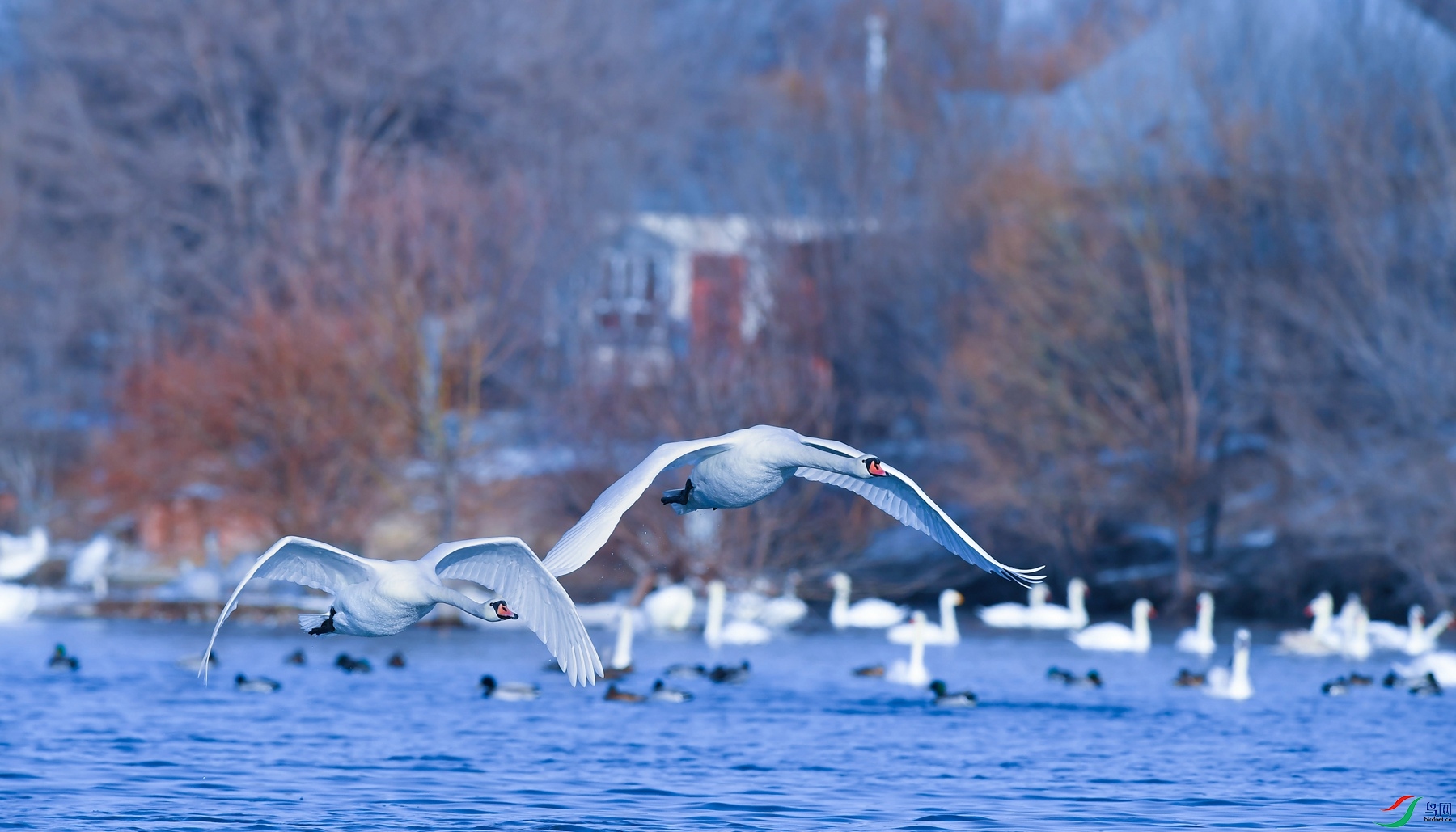 DSC_3499_����.jpg