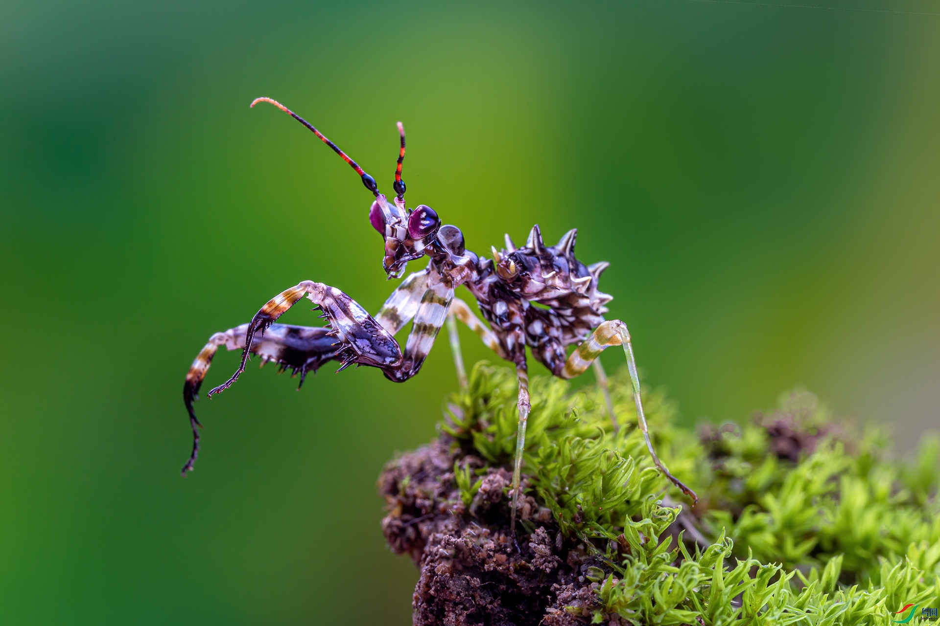 _G3A8877-1.jpg
