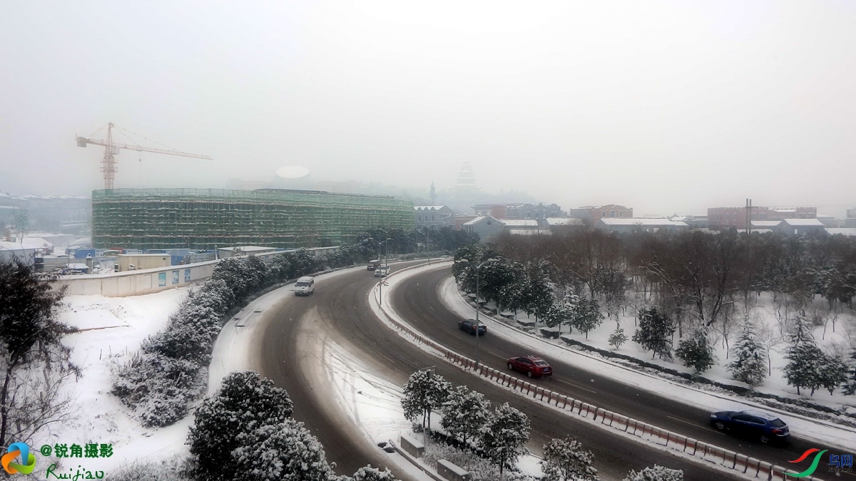 P1258979.jpg