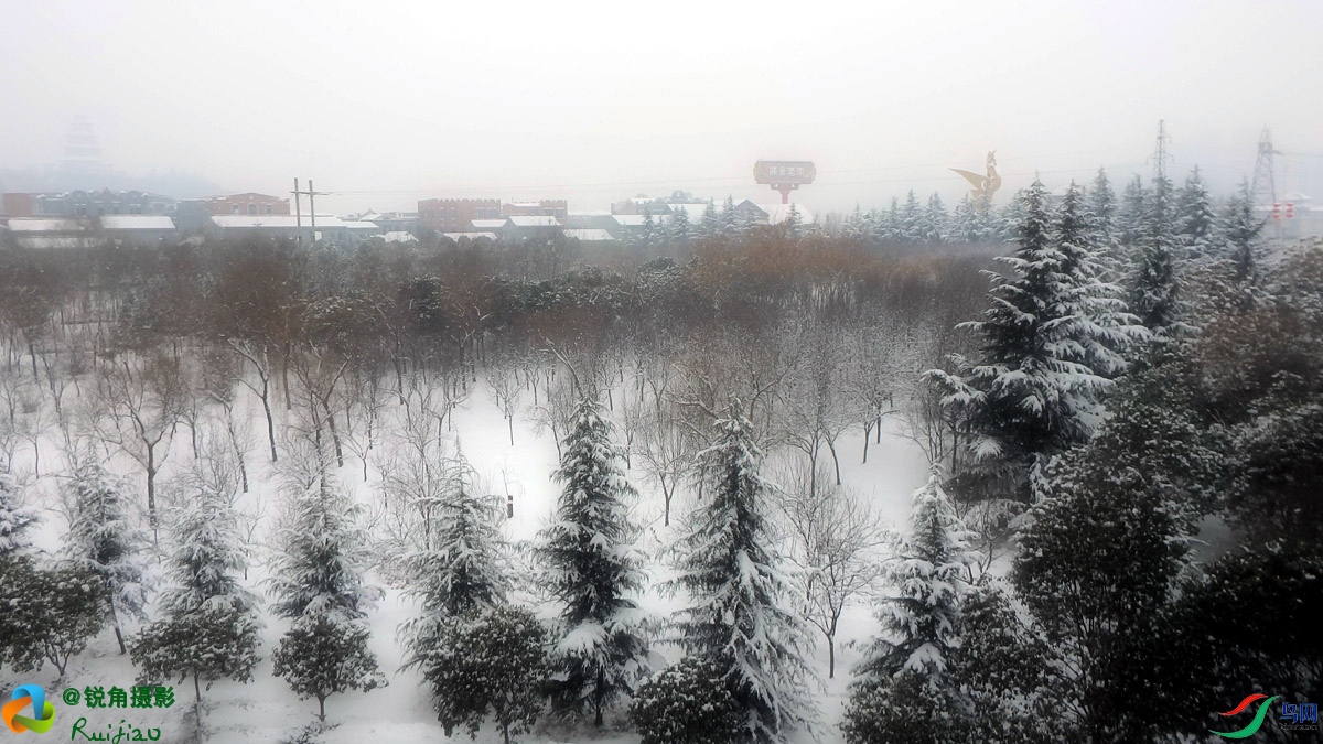 P1258983.jpg
