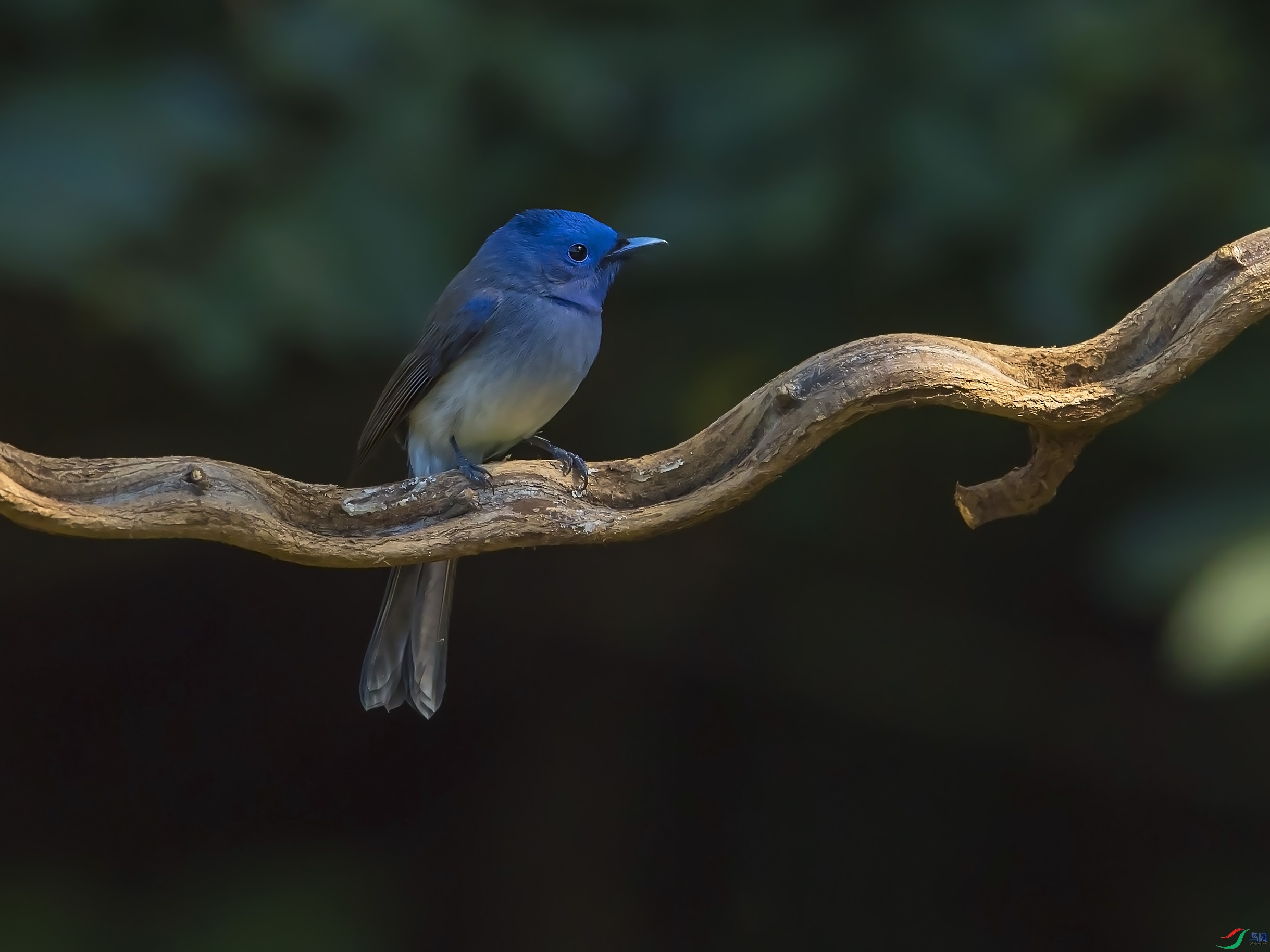 DSC_4541.jpg