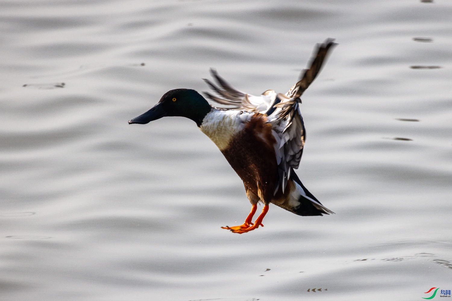 R5__4955_DxO.jpg