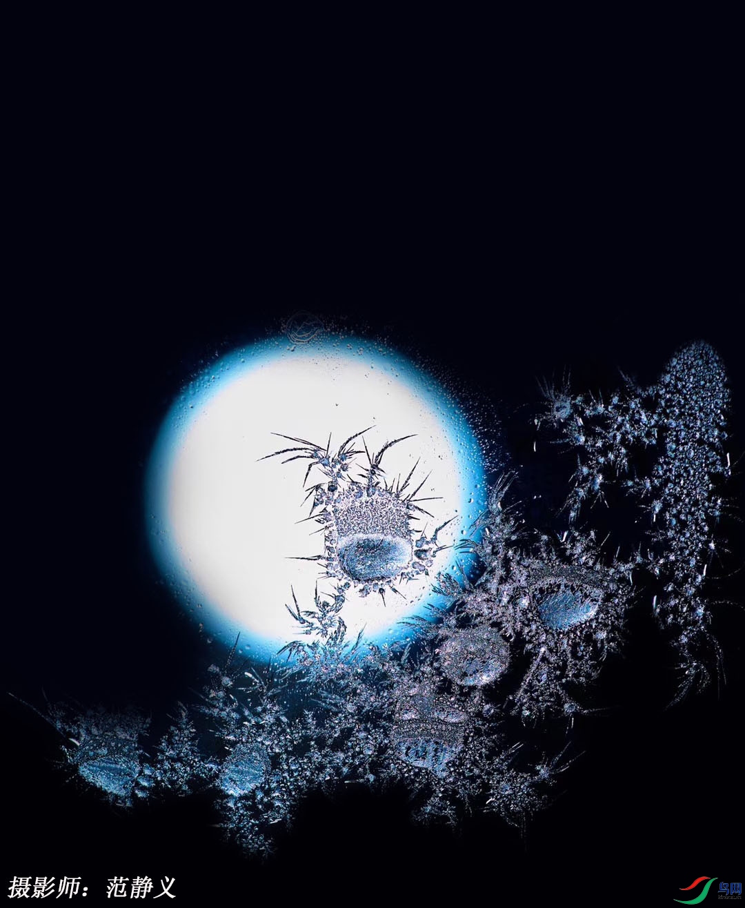 ����ı�����