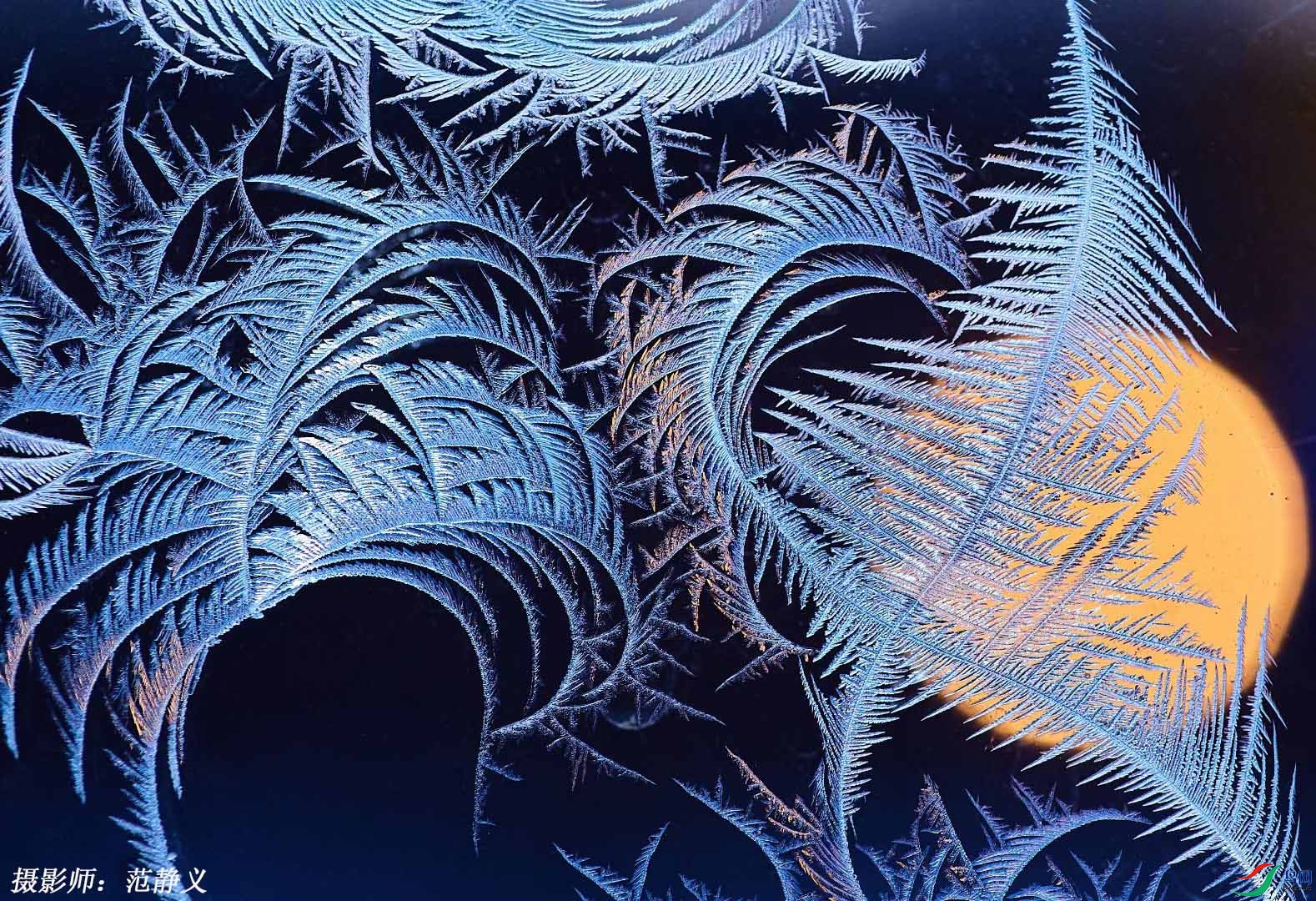 ����ı�����