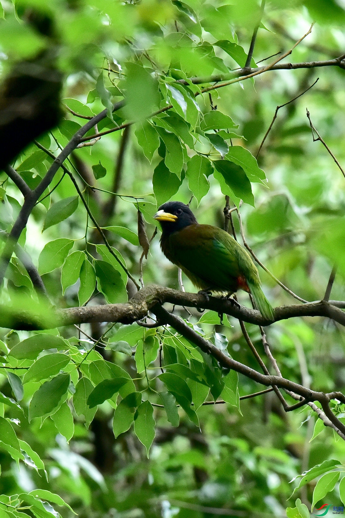 DSC_0684.JPG