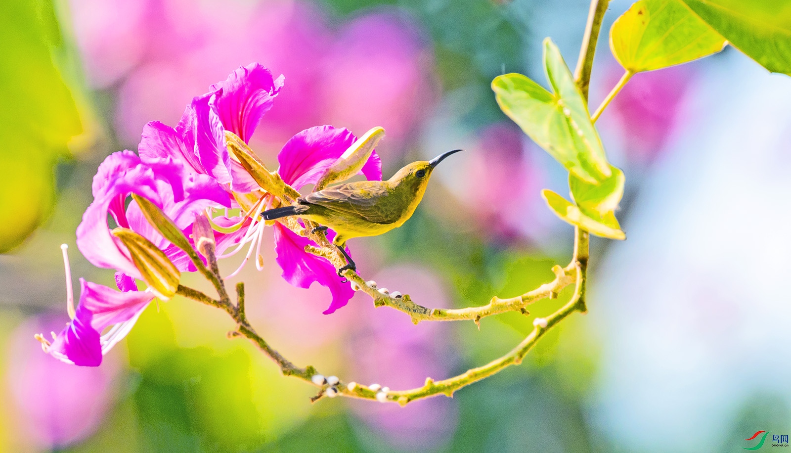 ������-47-1600.jpg