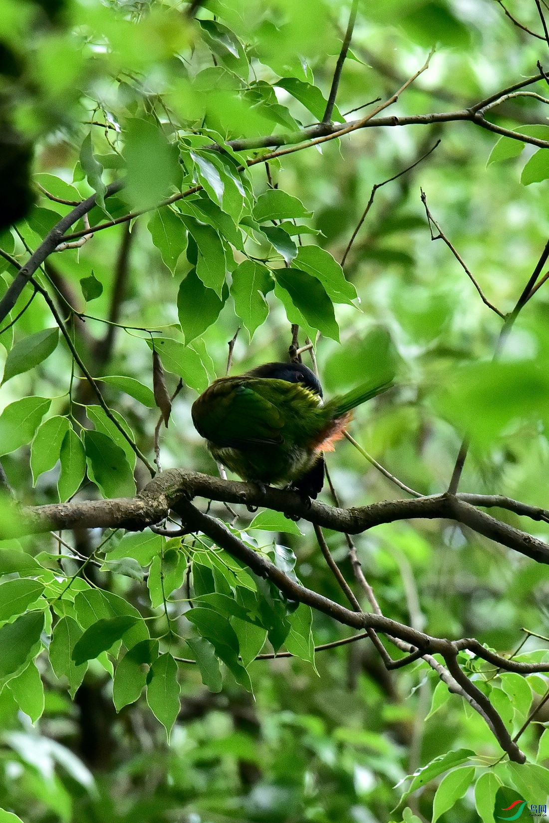DSC_0685.JPG