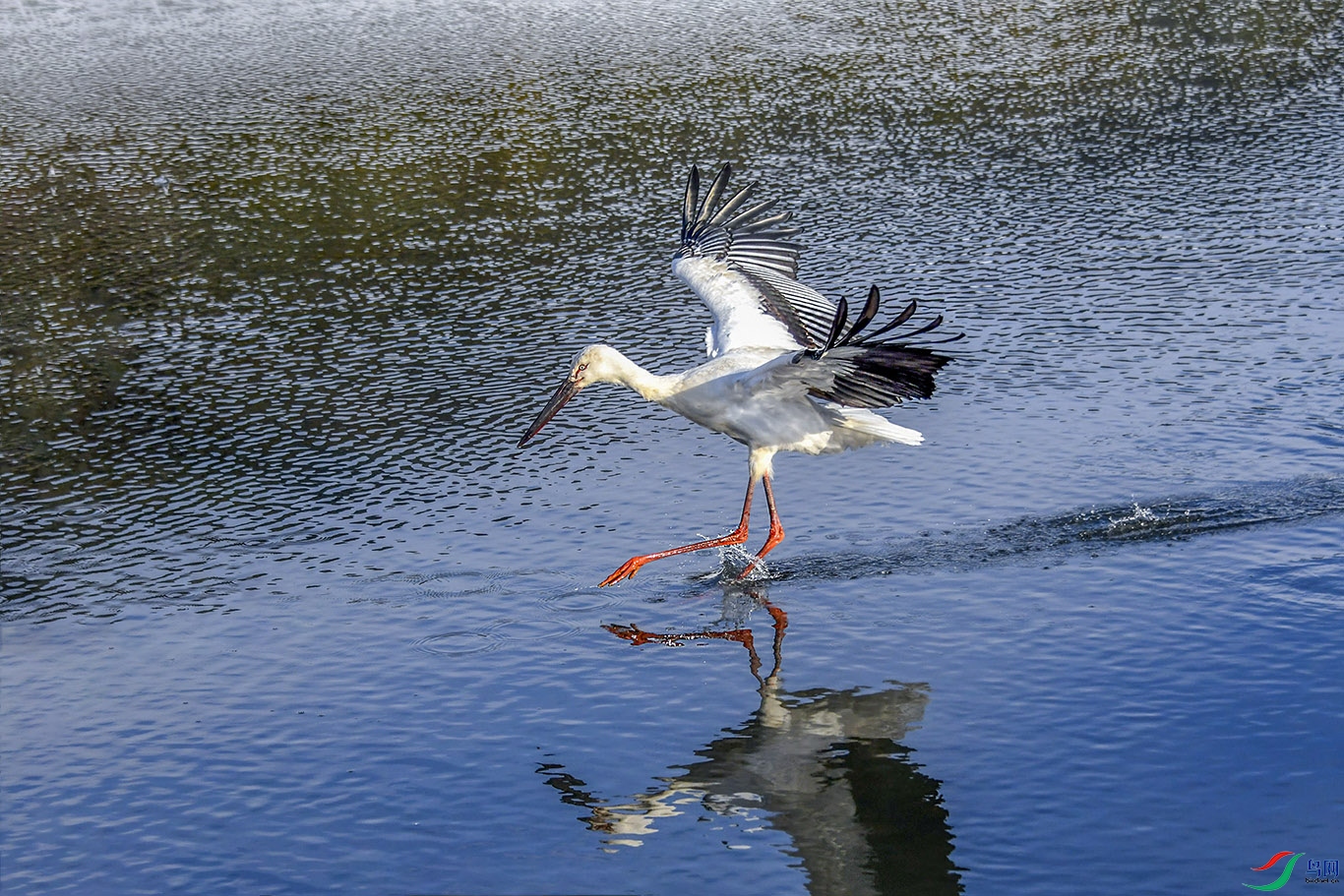 DSC_8083.jpg